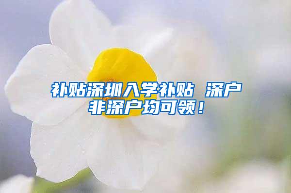 补贴深圳入学补贴 深户非深户均可领！