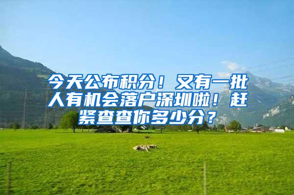 今天公布积分！又有一批人有机会落户深圳啦！赶紧查查你多少分？