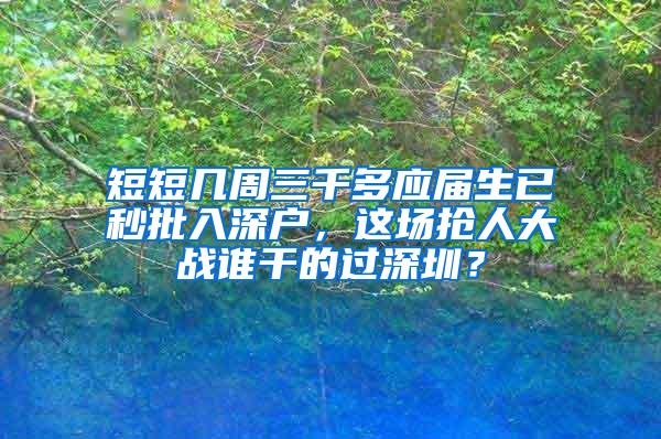 短短几周三千多应届生已秒批入深户，这场抢人大战谁干的过深圳？