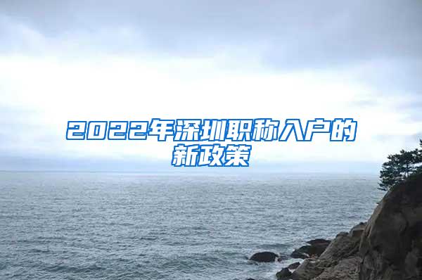 2022年深圳职称入户的新政策