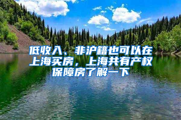 低收入、非沪籍也可以在上海买房，上海共有产权保障房了解一下