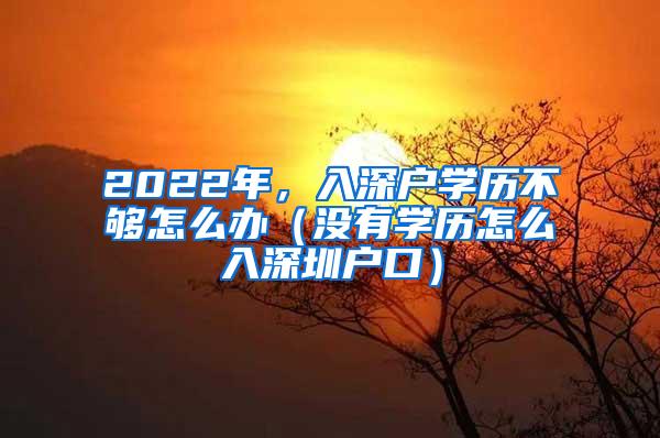 2022年，入深户学历不够怎么办（没有学历怎么入深圳户口）