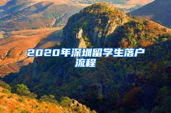 2020年深圳留学生落户流程