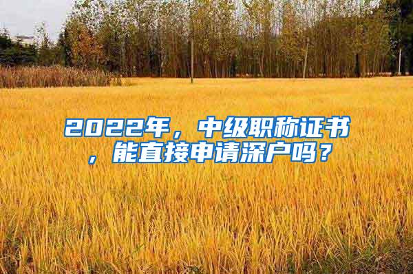 2022年，中级职称证书，能直接申请深户吗？