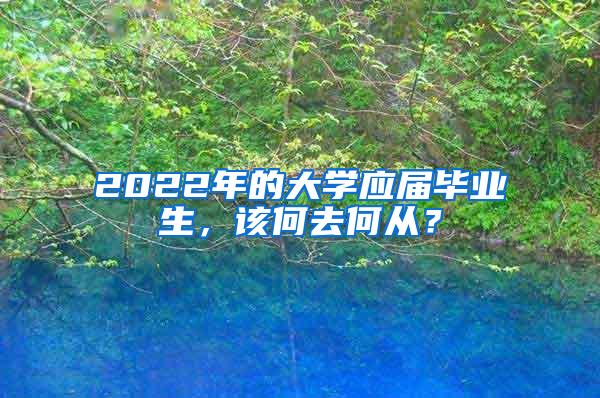 2022年的大学应届毕业生，该何去何从？