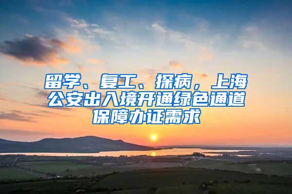 留学、复工、探病，上海公安出入境开通绿色通道保障办证需求