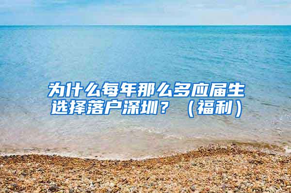 为什么每年那么多应届生选择落户深圳？（福利）