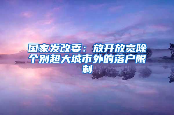 国家发改委：放开放宽除个别超大城市外的落户限制