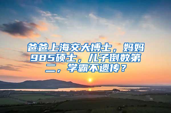 爸爸上海交大博士，妈妈985硕士，儿子倒数第二，学霸不遗传？