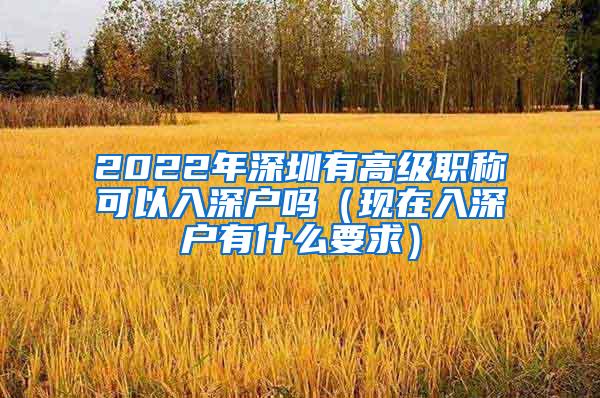 2022年深圳有高级职称可以入深户吗（现在入深户有什么要求）