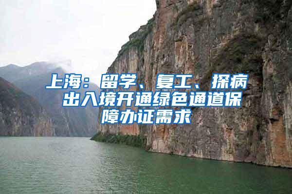 上海：留学、复工、探病 出入境开通绿色通道保障办证需求