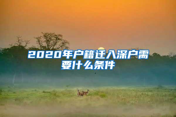 2020年户籍迁入深户需要什么条件