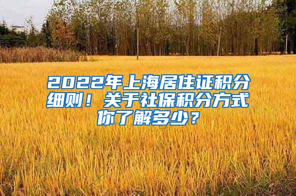 2022年上海居住证积分细则！关于社保积分方式你了解多少？