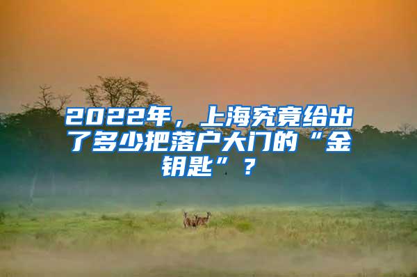 2022年，上海究竟给出了多少把落户大门的“金钥匙”？