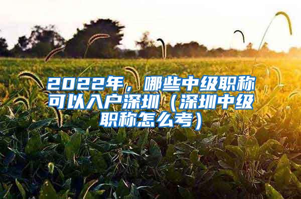 2022年，哪些中级职称可以入户深圳（深圳中级职称怎么考）