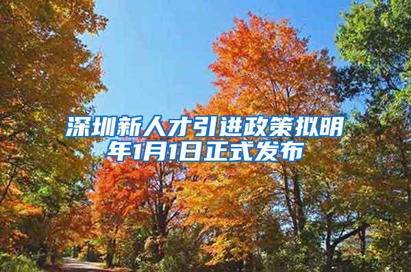 深圳新人才引进政策拟明年1月1日正式发布