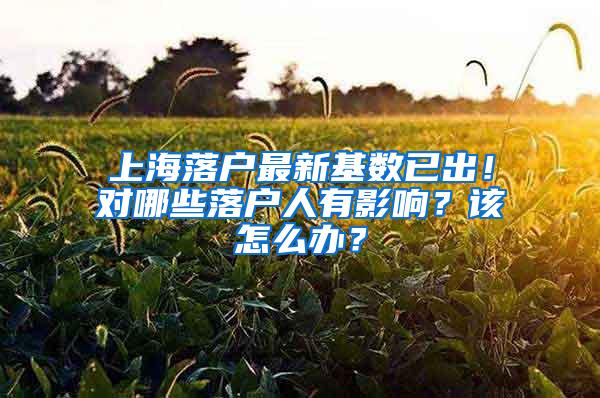 上海落户最新基数已出！对哪些落户人有影响？该怎么办？