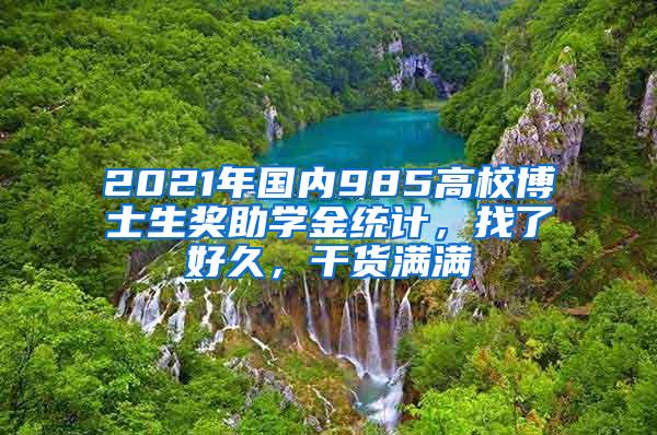 2021年国内985高校博士生奖助学金统计，找了好久，干货满满