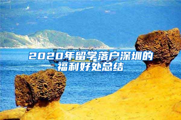 2020年留学落户深圳的福利好处总结