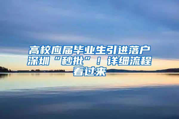 高校应届毕业生引进落户深圳“秒批”！详细流程看过来