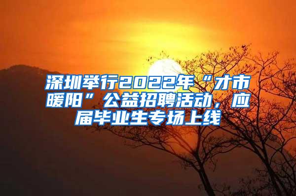 深圳举行2022年“才市暖阳”公益招聘活动，应届毕业生专场上线