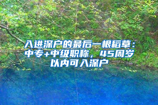 入进深户的最后一根稻草：中专+中级职称，45周岁以内可入深户