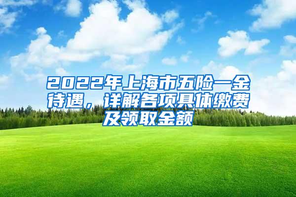 2022年上海市五险一金待遇，详解各项具体缴费及领取金额