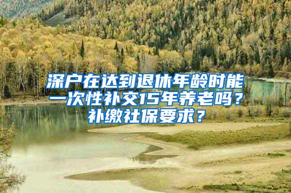 深户在达到退休年龄时能一次性补交15年养老吗？补缴社保要求？