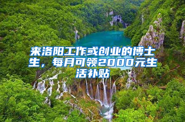 来洛阳工作或创业的博士生，每月可领2000元生活补贴