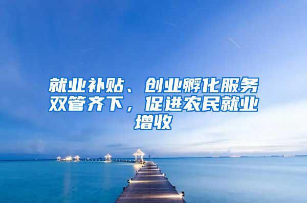 就业补贴、创业孵化服务双管齐下，促进农民就业增收