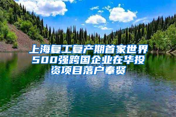 上海复工复产期首家世界500强跨国企业在华投资项目落户奉贤