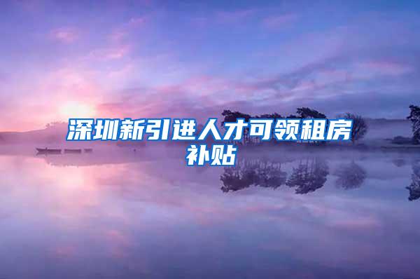 深圳新引进人才可领租房补贴