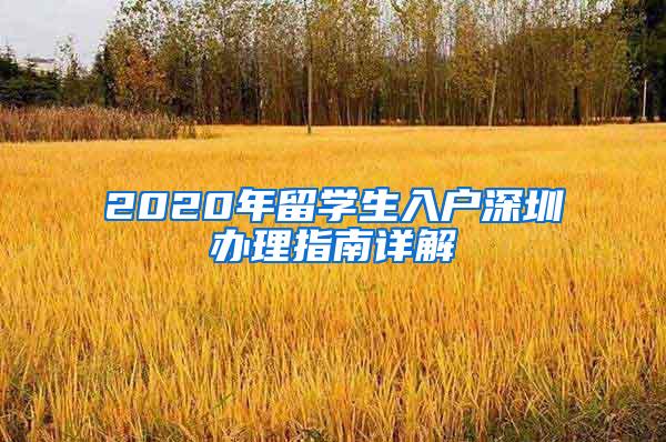 2020年留学生入户深圳办理指南详解