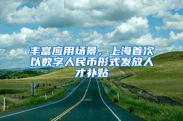 丰富应用场景，上海首次以数字人民币形式发放人才补贴