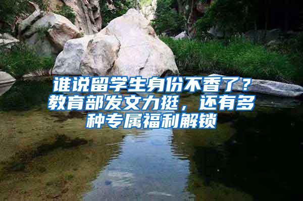 谁说留学生身份不香了？教育部发文力挺，还有多种专属福利解锁