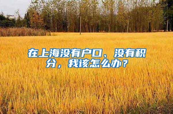 在上海没有户口、没有积分，我该怎么办？