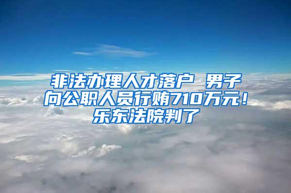 非法办理人才落户 男子向公职人员行贿710万元！乐东法院判了