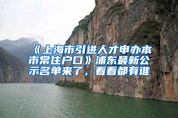 《上海市引进人才申办本市常住户口》浦东最新公示名单来了，看看都有谁