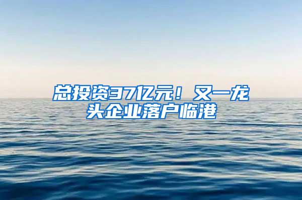 总投资37亿元！又一龙头企业落户临港