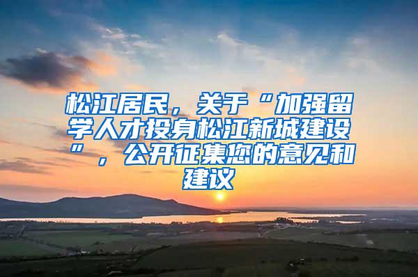 松江居民，关于“加强留学人才投身松江新城建设”，公开征集您的意见和建议→