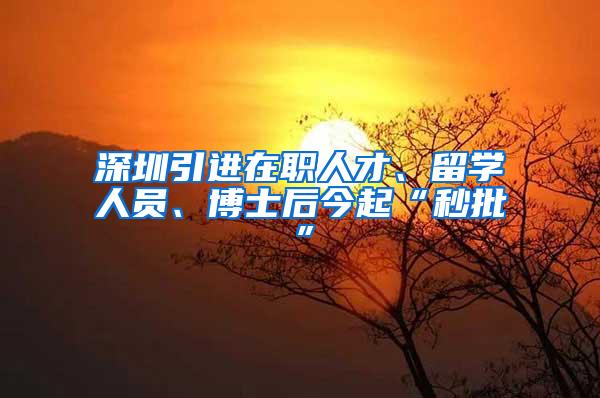 深圳引进在职人才、留学人员、博士后今起“秒批”