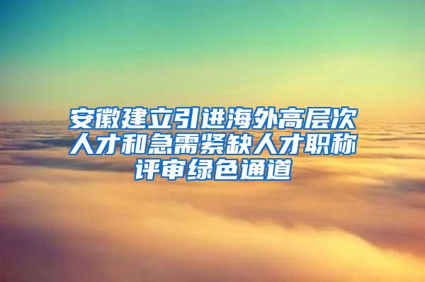 安徽建立引进海外高层次人才和急需紧缺人才职称评审绿色通道