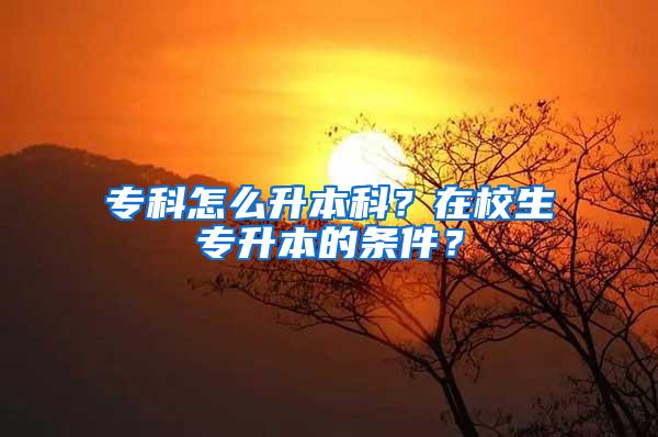 专科怎么升本科？在校生专升本的条件？