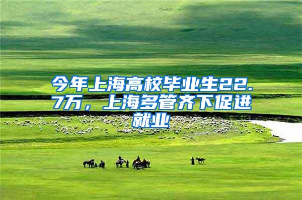 今年上海高校毕业生22.7万，上海多管齐下促进就业