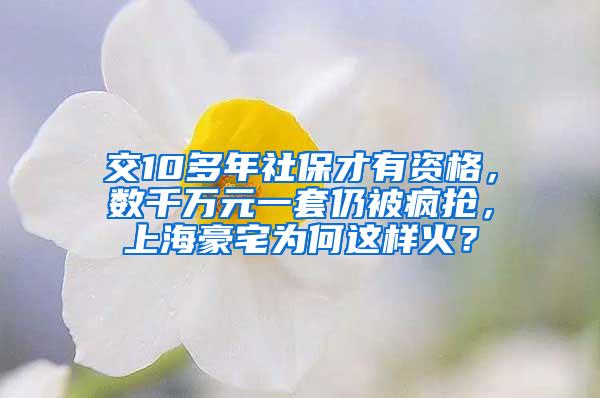 交10多年社保才有资格，数千万元一套仍被疯抢，上海豪宅为何这样火？