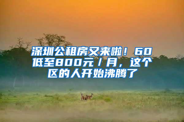 深圳公租房又来啦！60㎡低至800元／月，这个区的人开始沸腾了