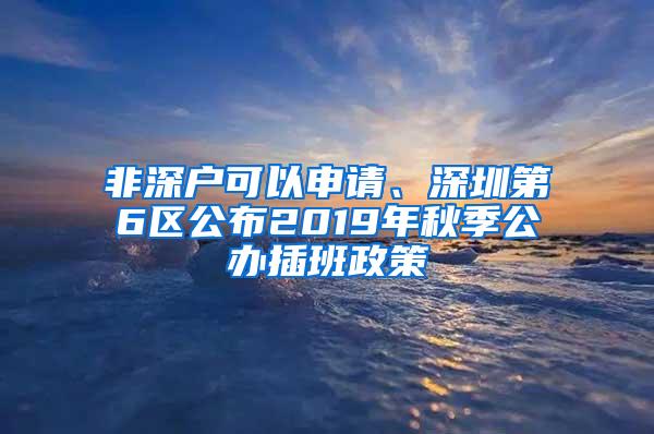 非深户可以申请、深圳第6区公布2019年秋季公办插班政策