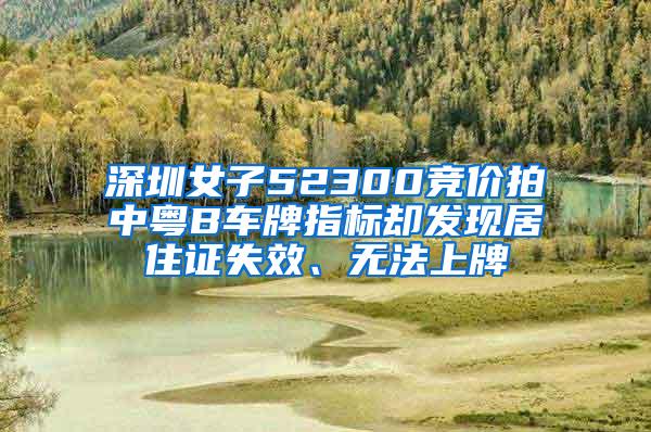 深圳女子52300竞价拍中粤B车牌指标却发现居住证失效、无法上牌