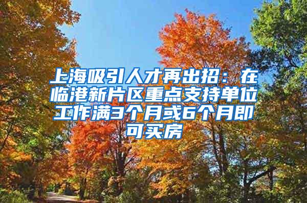 上海吸引人才再出招：在临港新片区重点支持单位工作满3个月或6个月即可买房