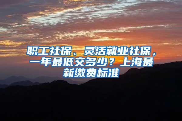 职工社保、灵活就业社保，一年最低交多少？上海最新缴费标准